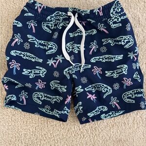Chubbies Kids Swim Shorts - Navy with Pink and Green Print XS